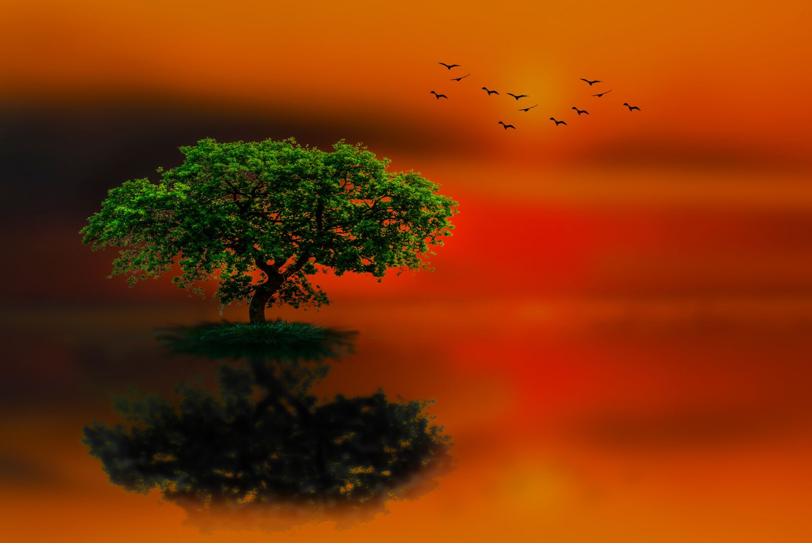 Canon EOS 5D Mark III sample photo. No person, sunset, dawn photography