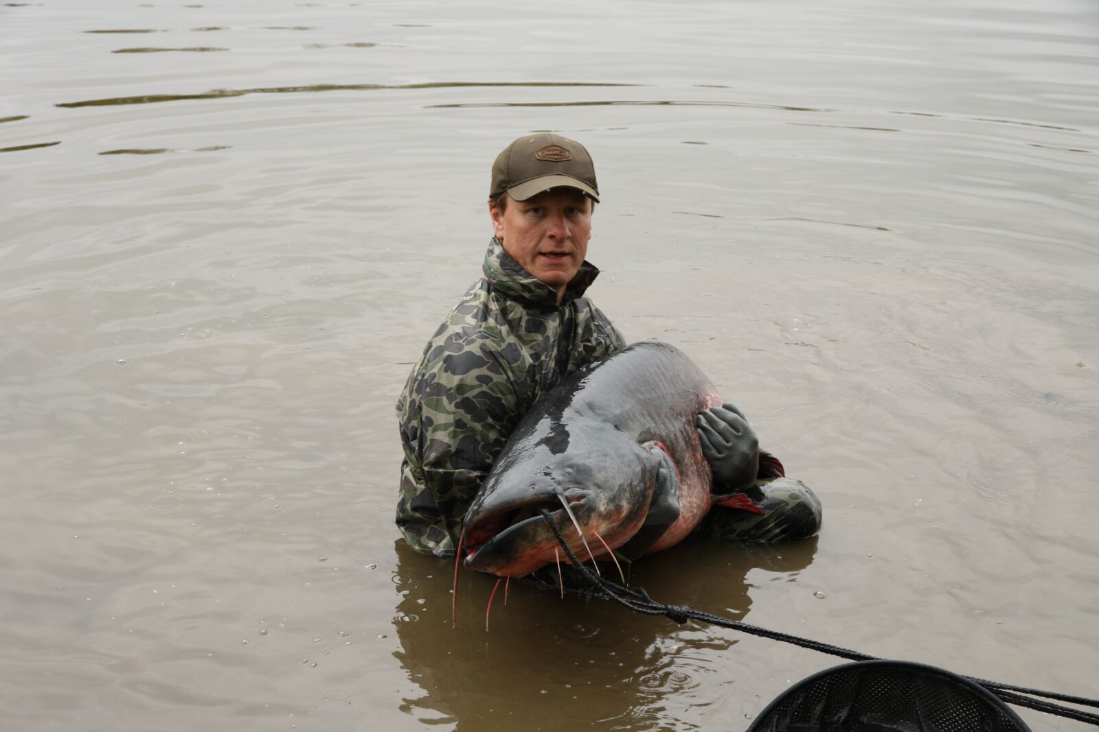 Canon EOS 1000D (EOS Digital Rebel XS / EOS Kiss F) sample photo. Catfish, water, fish photography