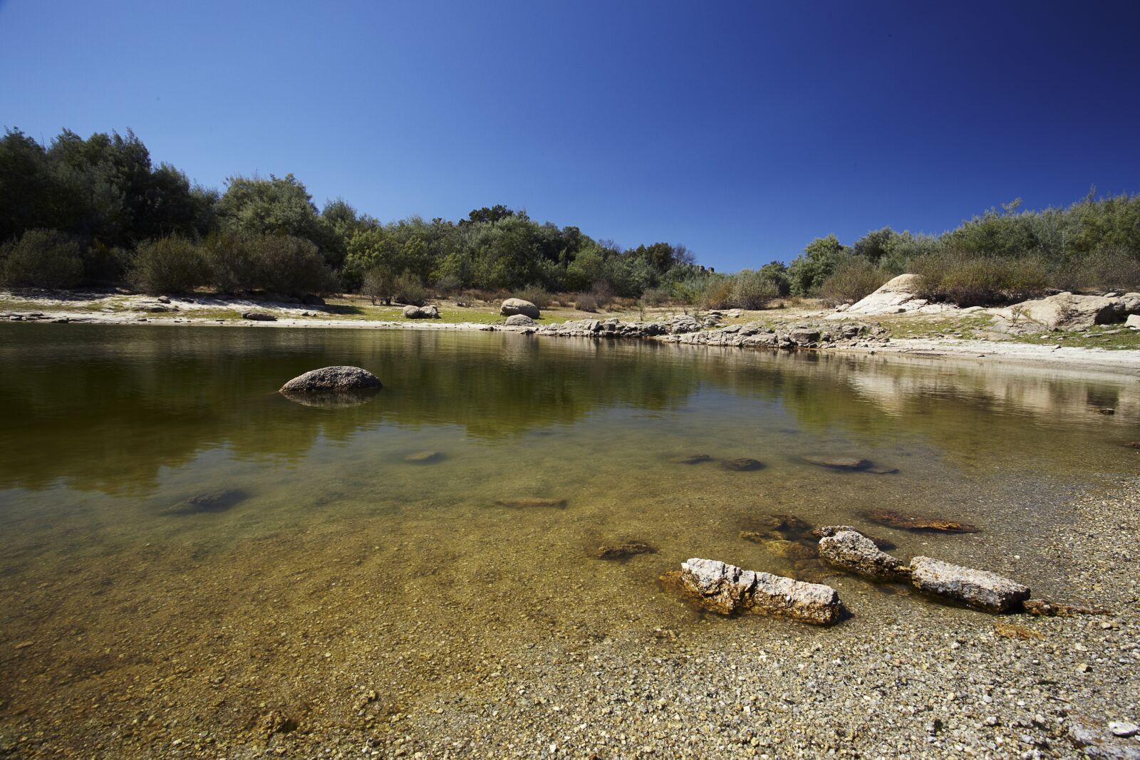 Canon EOS 5D Mark II sample photo. Pond, water, nature photography