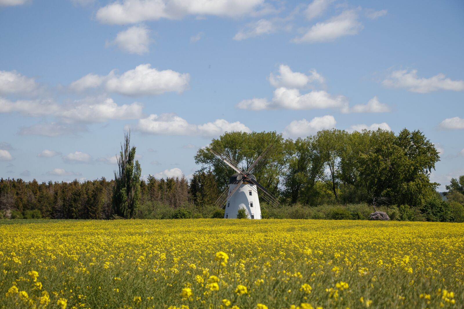 Canon EF-S 18-135mm F3.5-5.6 IS USM sample photo. Landscape, windmill, sky photography