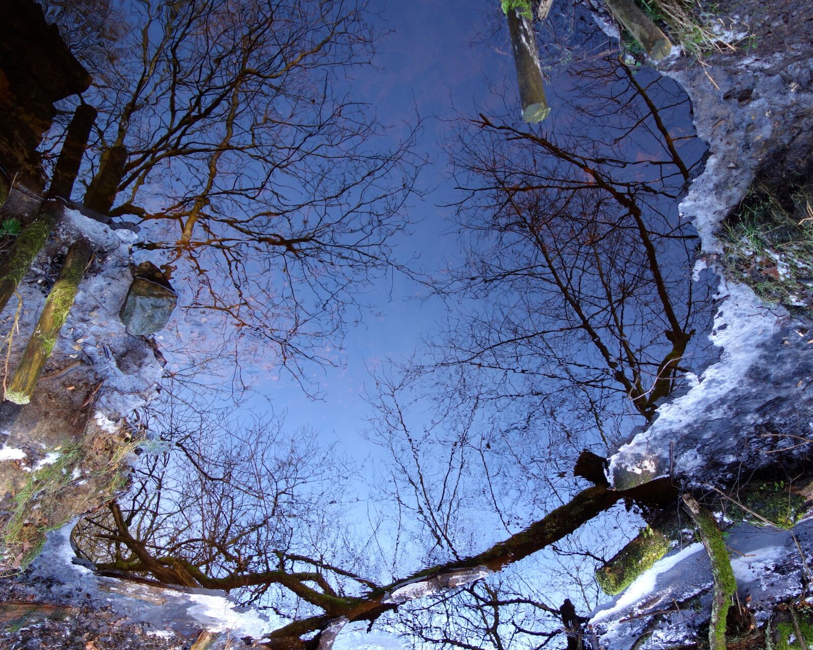Sony Cyber-shot DSC-RX100 sample photo. Pond, mirroring, winter photography