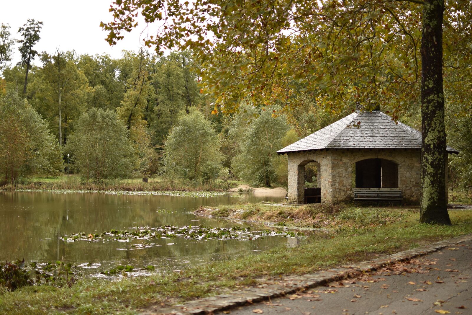 Nikon D5600 sample photo. Park, lake, landscape photography