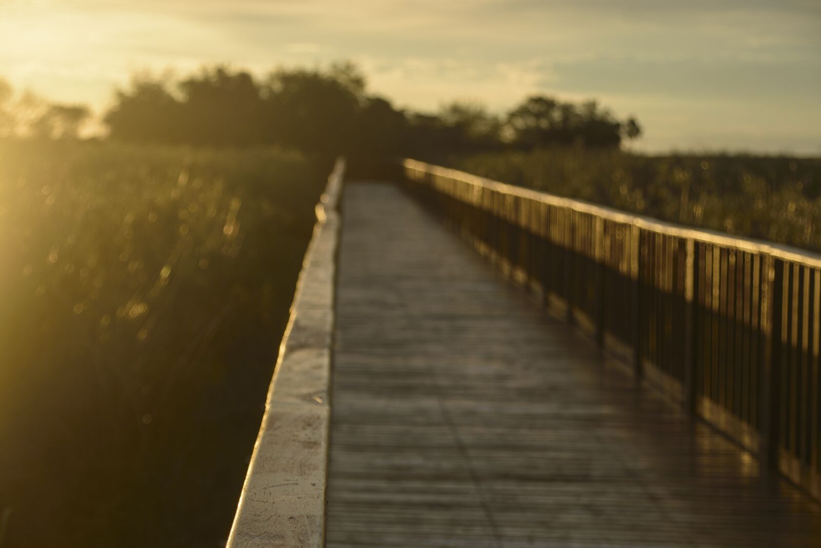 Nikon D3200 sample photo. Sunset, landscape, sun photography