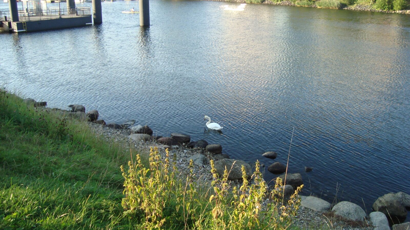 Sony Cyber-shot DSC-W110 sample photo. Water, river, grass photography