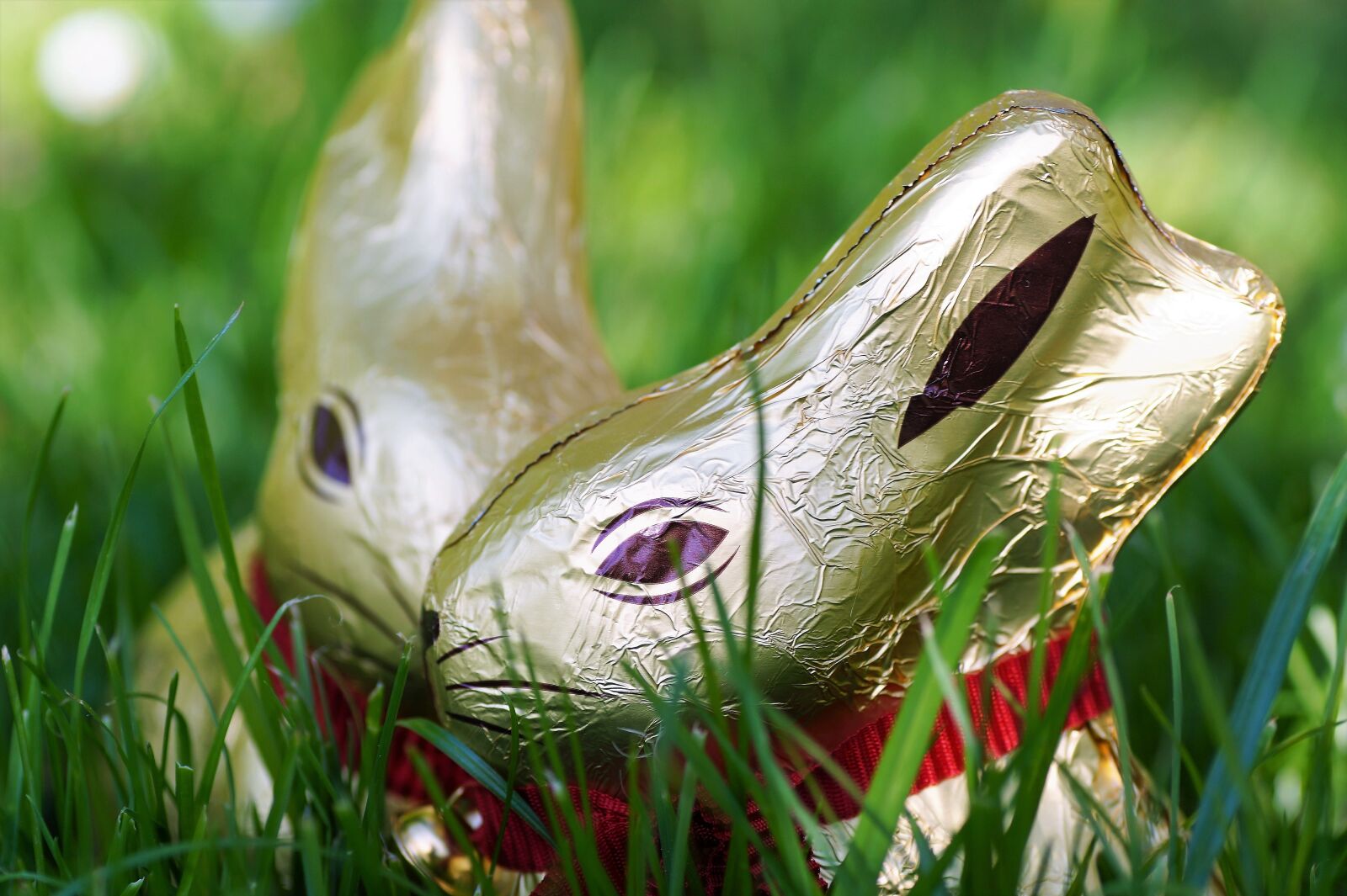 Sony SLT-A58 sample photo. Chocolate, bunny girl, easter photography