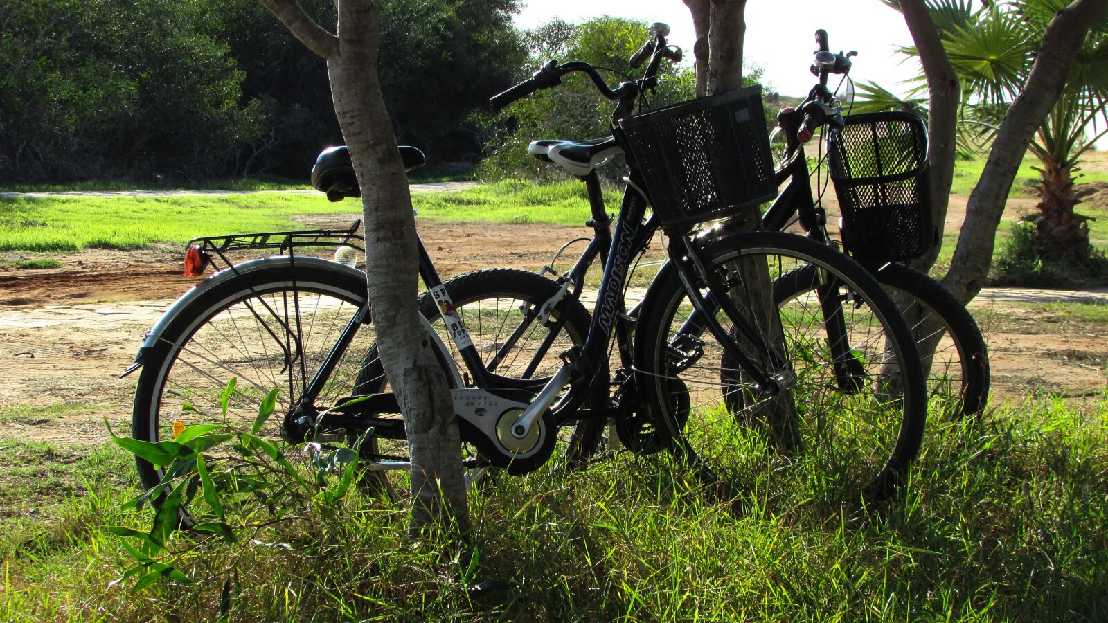 Canon PowerShot SX400 IS sample photo. Bicycles, nature, fall photography
