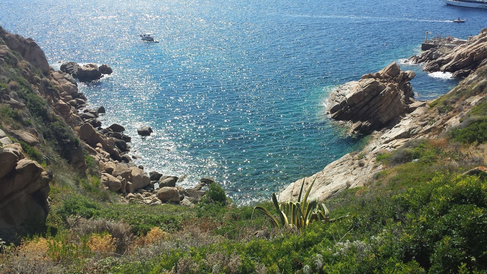 Samsung Galaxy S4 sample photo. Island lily, tuscany, summer photography