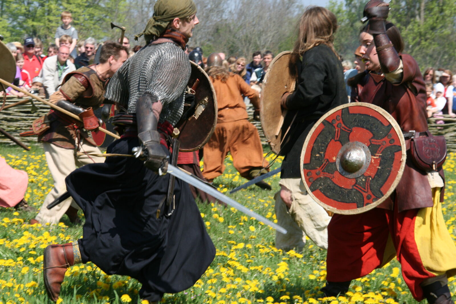 Sigma 18-200mm f/3.5-6.3 DC OS sample photo. Vikings photography