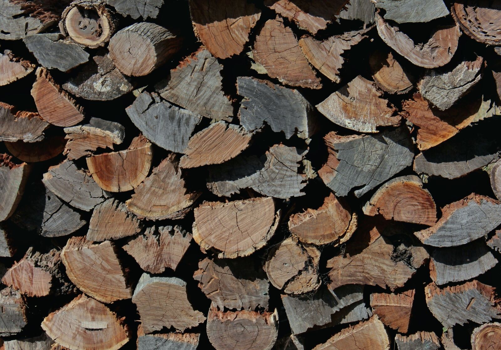 Canon EOS 600D (Rebel EOS T3i / EOS Kiss X5) sample photo. Wood, wood chopping, wood photography