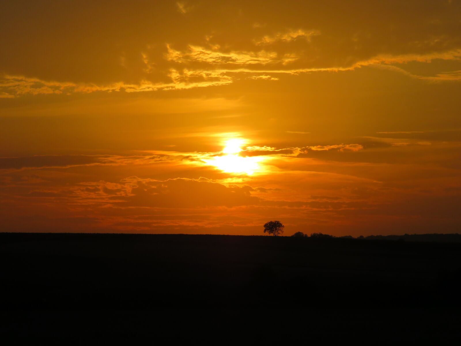 Canon PowerShot SX540 HS sample photo. Sunset, sun, sky photography