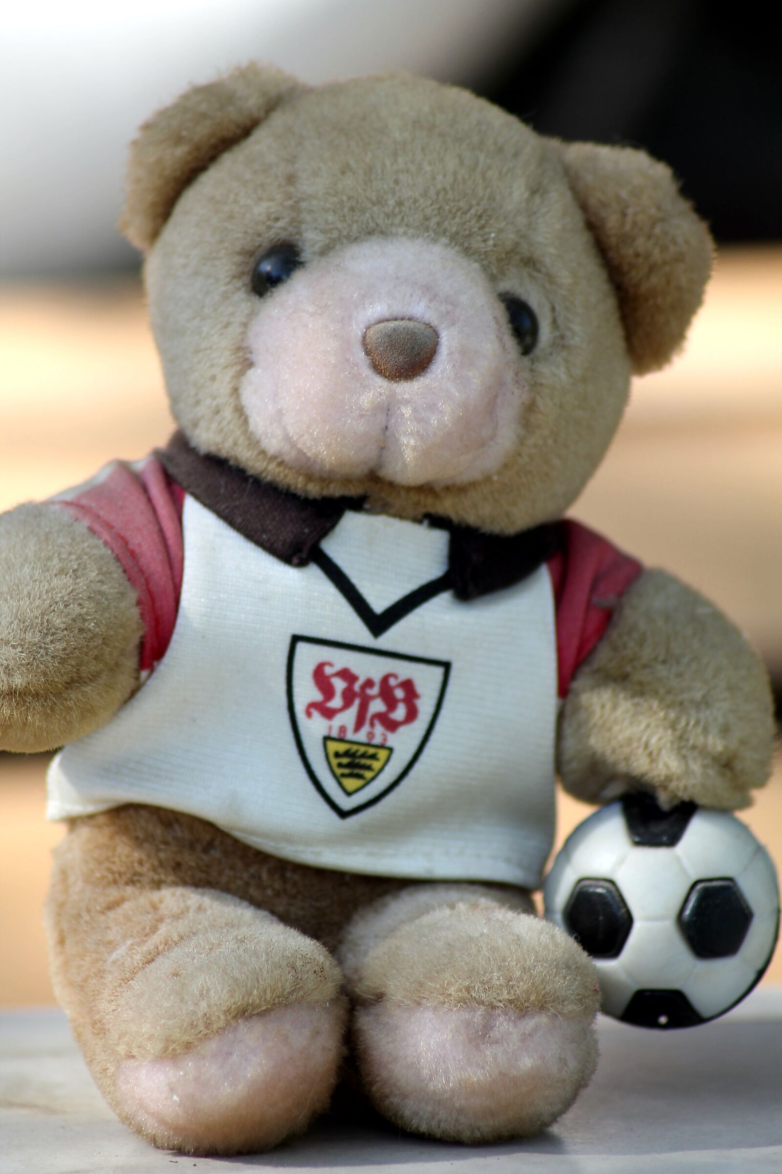 Canon EOS 1100D (EOS Rebel T3 / EOS Kiss X50) sample photo. Teddy bear, vfb stuttgart photography