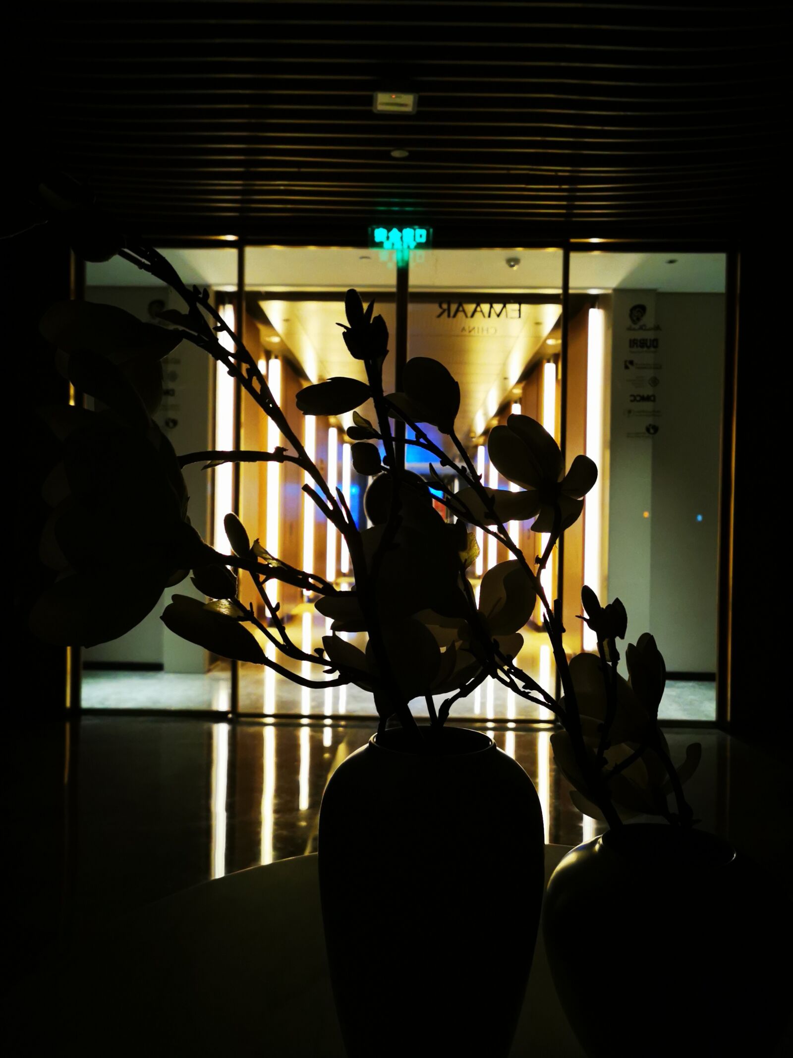 HUAWEI P30 Pro sample photo. Dark, flower, light photography