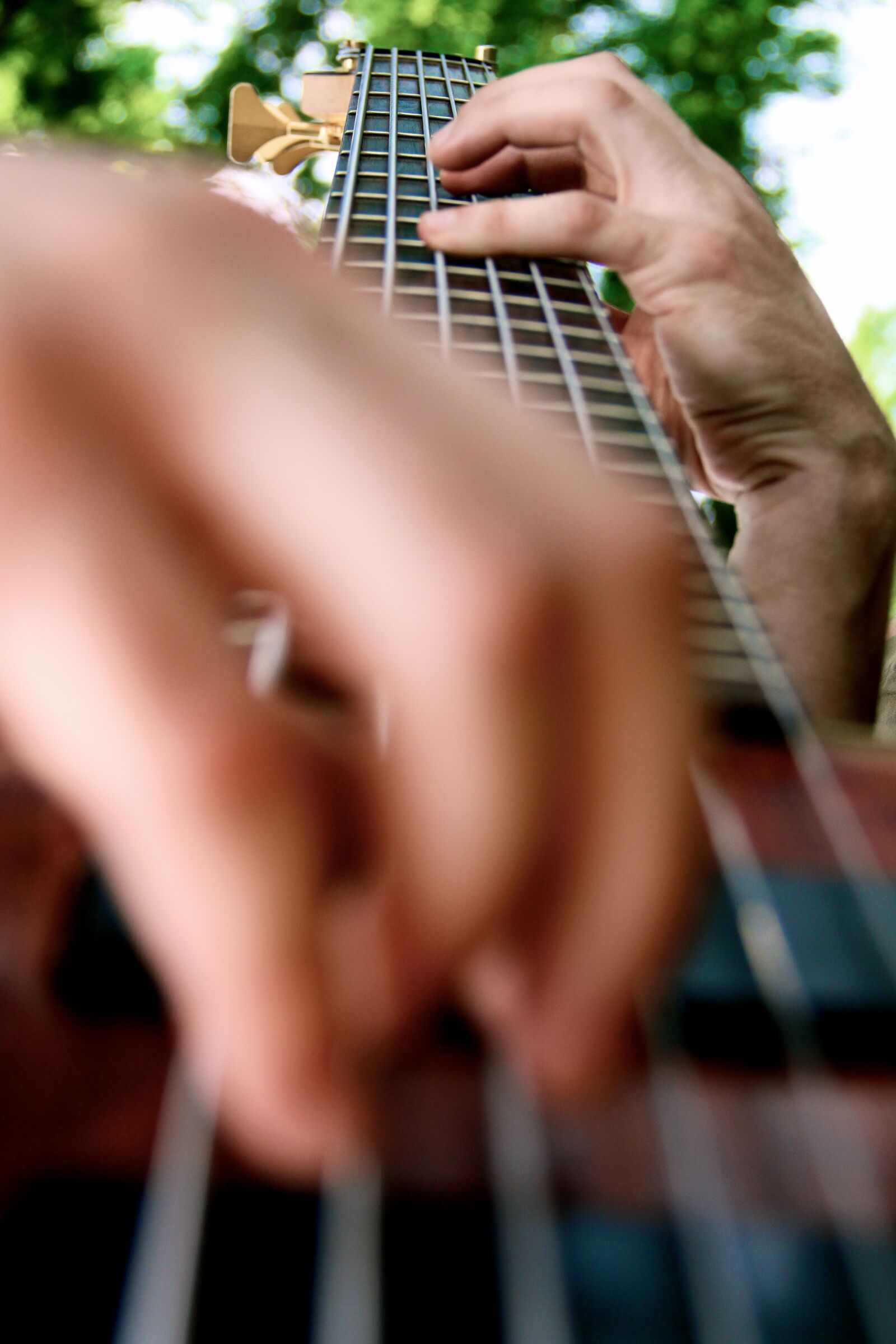 Canon EOS 650D (EOS Rebel T4i / EOS Kiss X6i) sample photo. Music, musician, bass photography