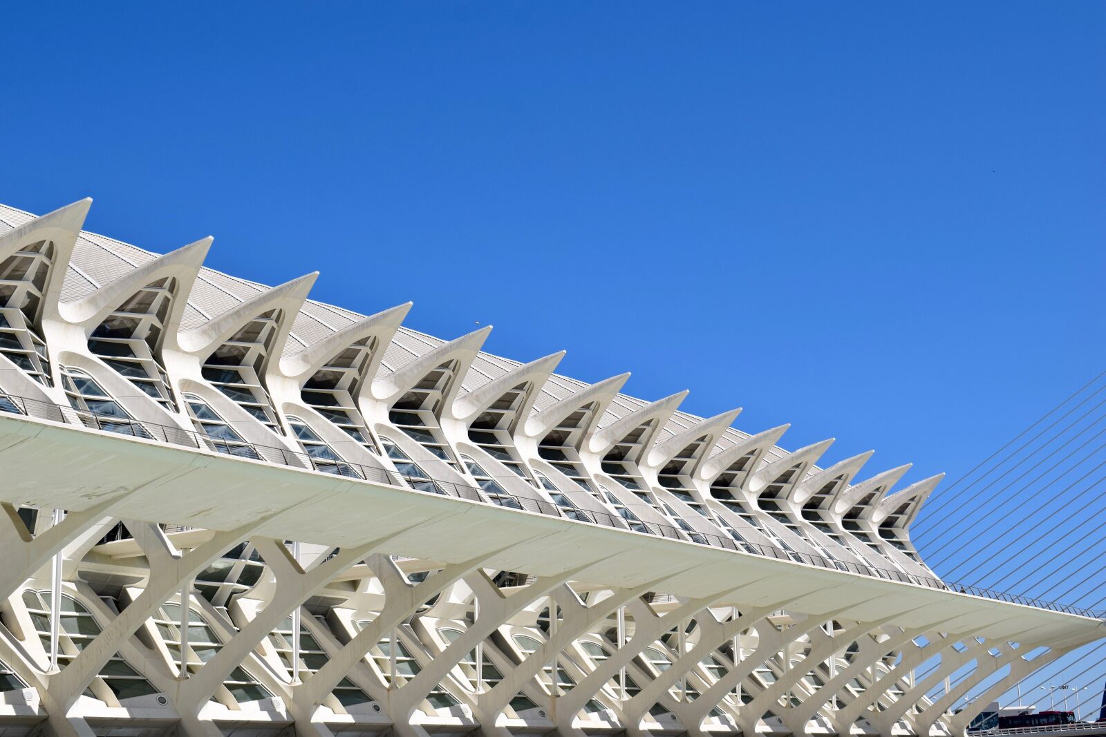 Nikon D5300 sample photo. Modern, museum, valencia photography