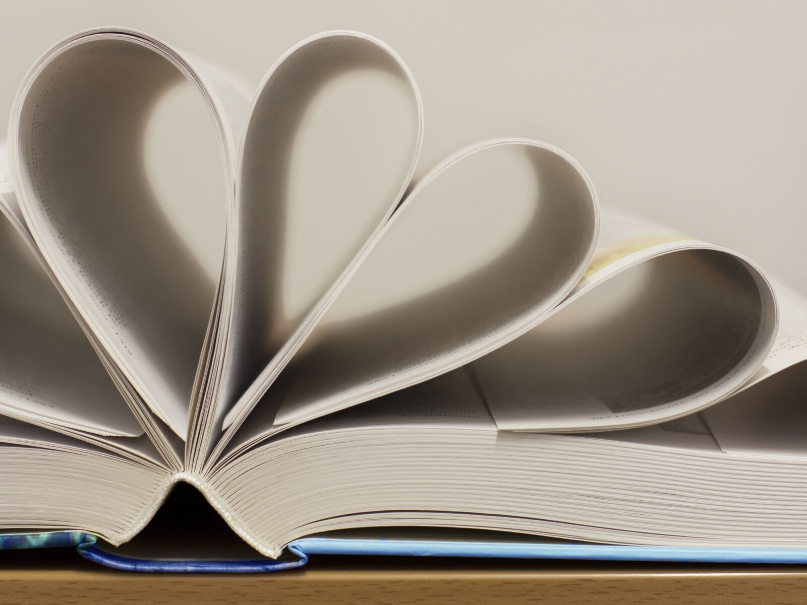 Canon EOS 60D + Canon EF 50mm F1.4 USM sample photo. Book, pages, paper photography