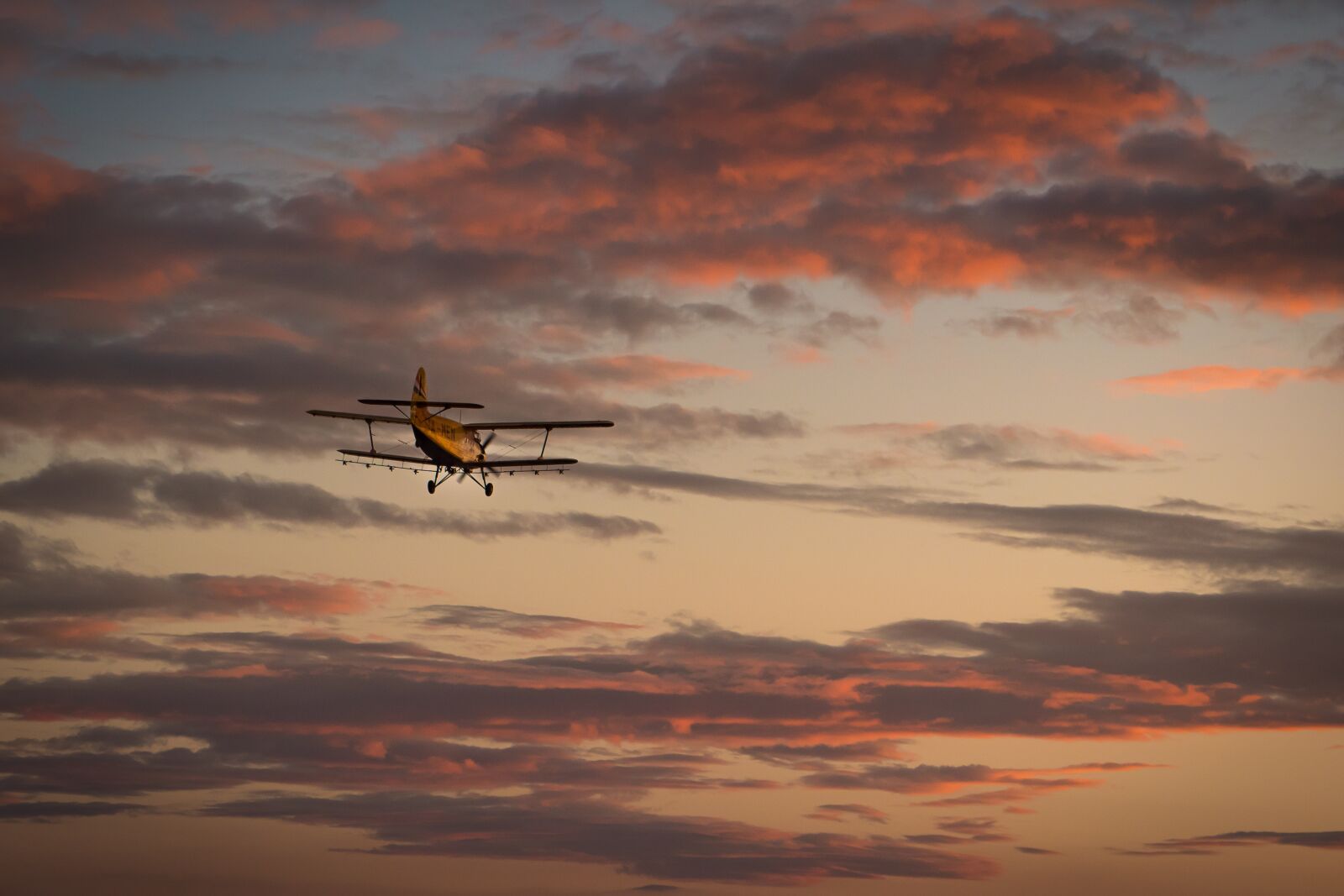 LEICA DG 12-60/F2.8-4.0 sample photo. Aeroplane, aircraft, fly photography