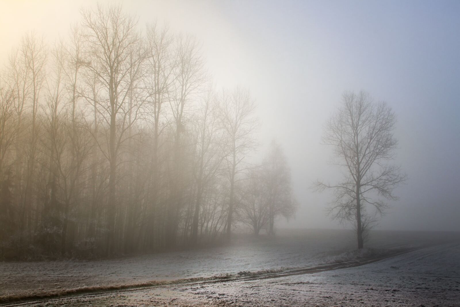 Canon EOS 80D sample photo. Fog, dawn, landscape photography