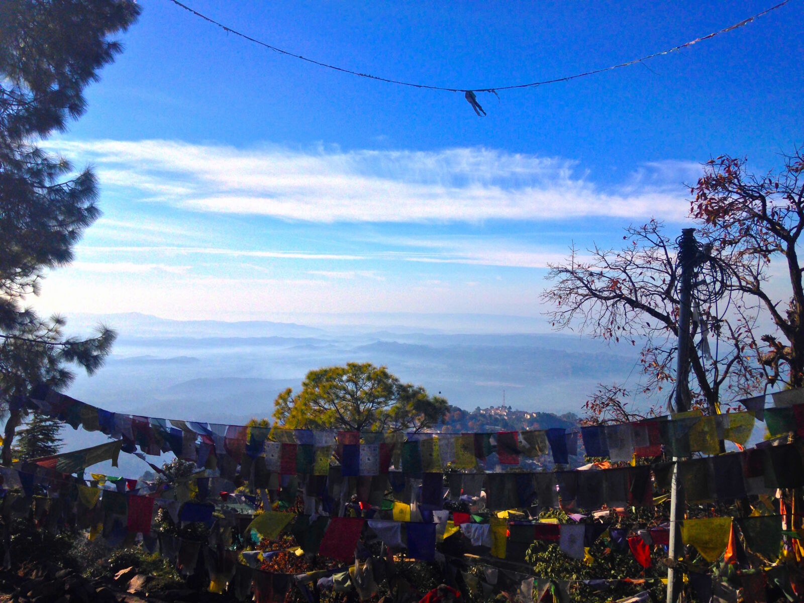 iPhone 5c back camera 4.12mm f/2.4 sample photo. Himalayan, wind, horse photography
