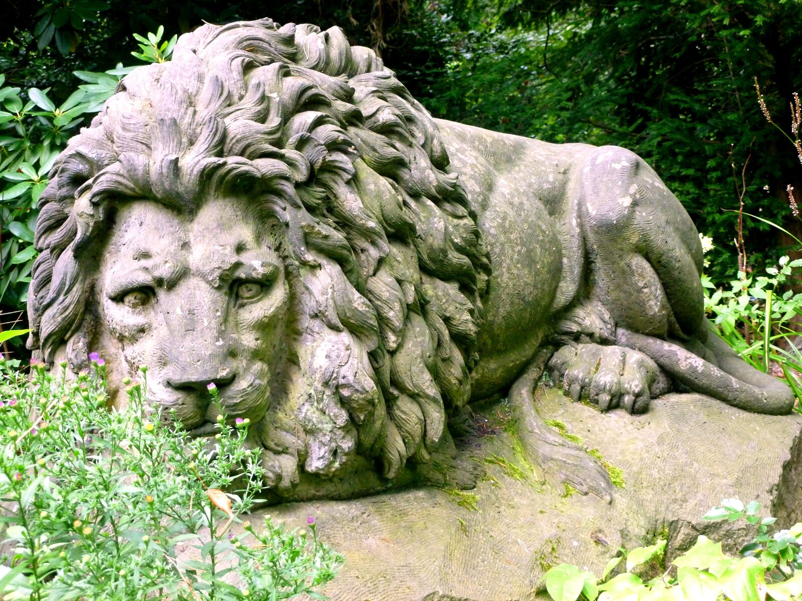 Panasonic DMC-FS37 sample photo. Stone figure, stone lion photography