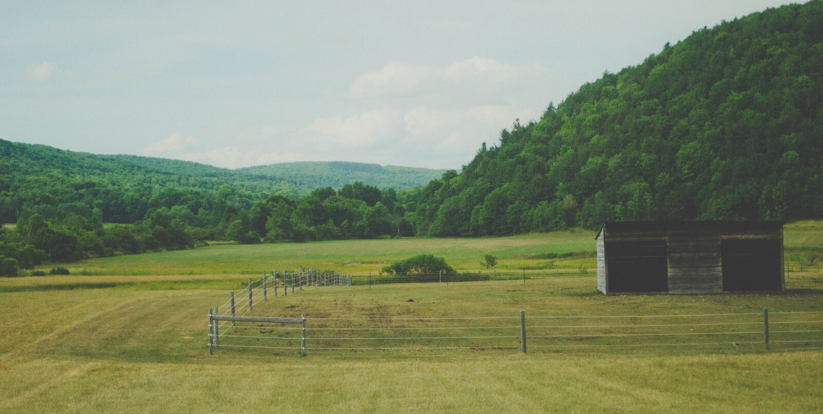 Nikon D5100 sample photo. Fields, road trip, journey photography