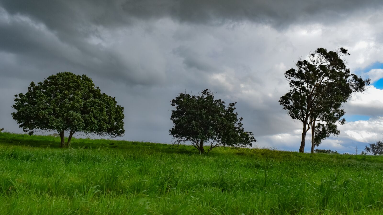 Nikon D3300 sample photo. Trees, meadow, landscape photography