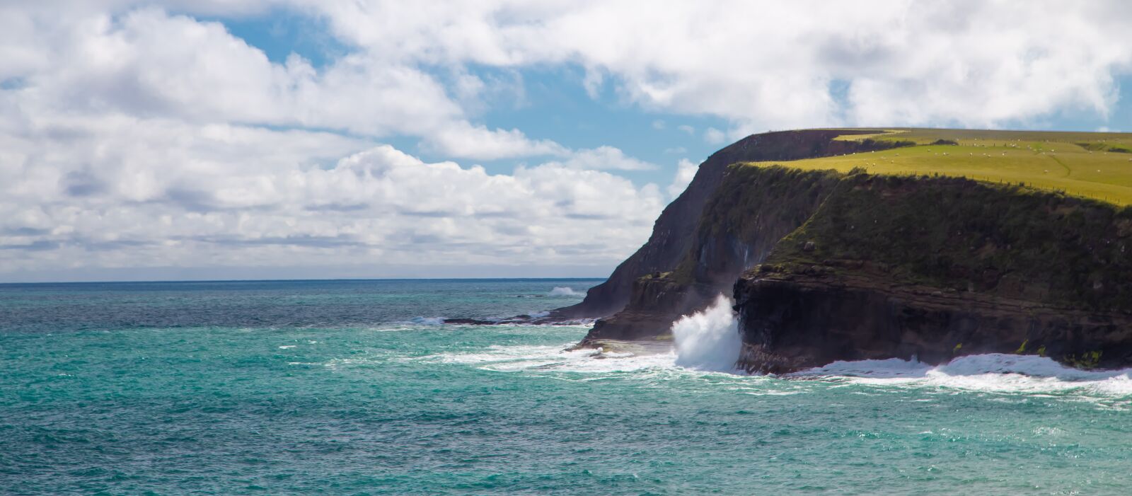 Canon EOS 6D + Canon EF 24-105mm F4L IS USM sample photo. New zealand, ocean, cliffs photography