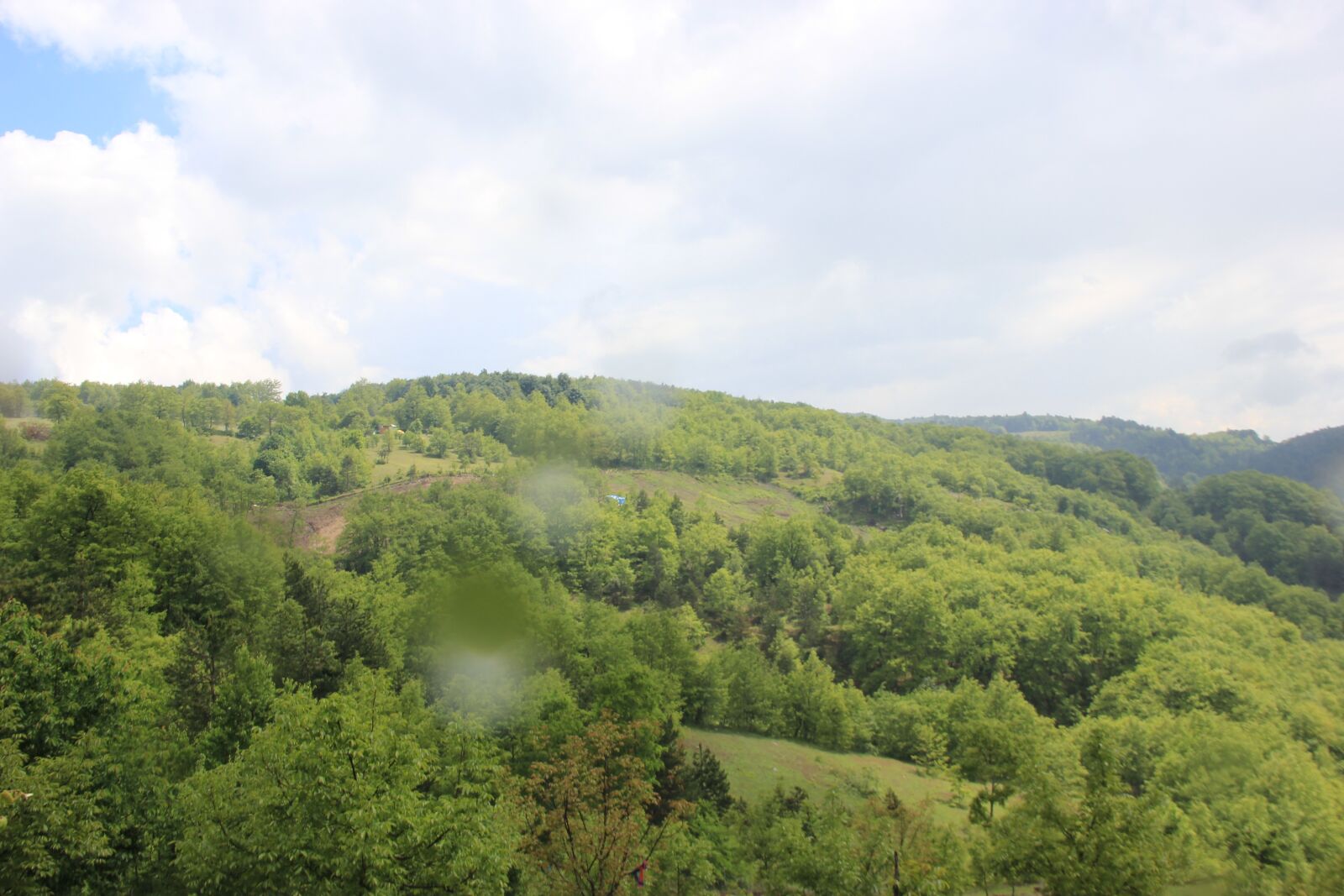 Canon EOS 550D (EOS Rebel T2i / EOS Kiss X4) sample photo. Forest, nature, green photography