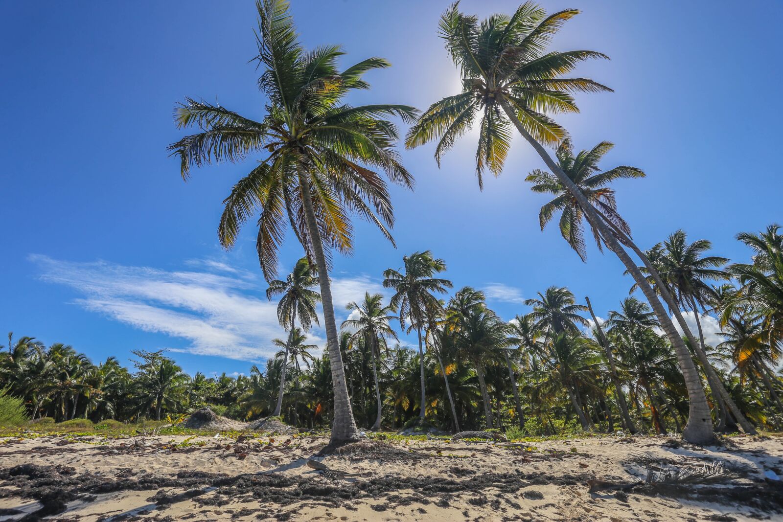 Canon EOS 6D + Canon EF 17-40mm F4L USM sample photo. Dominican republic, sargisova sea photography