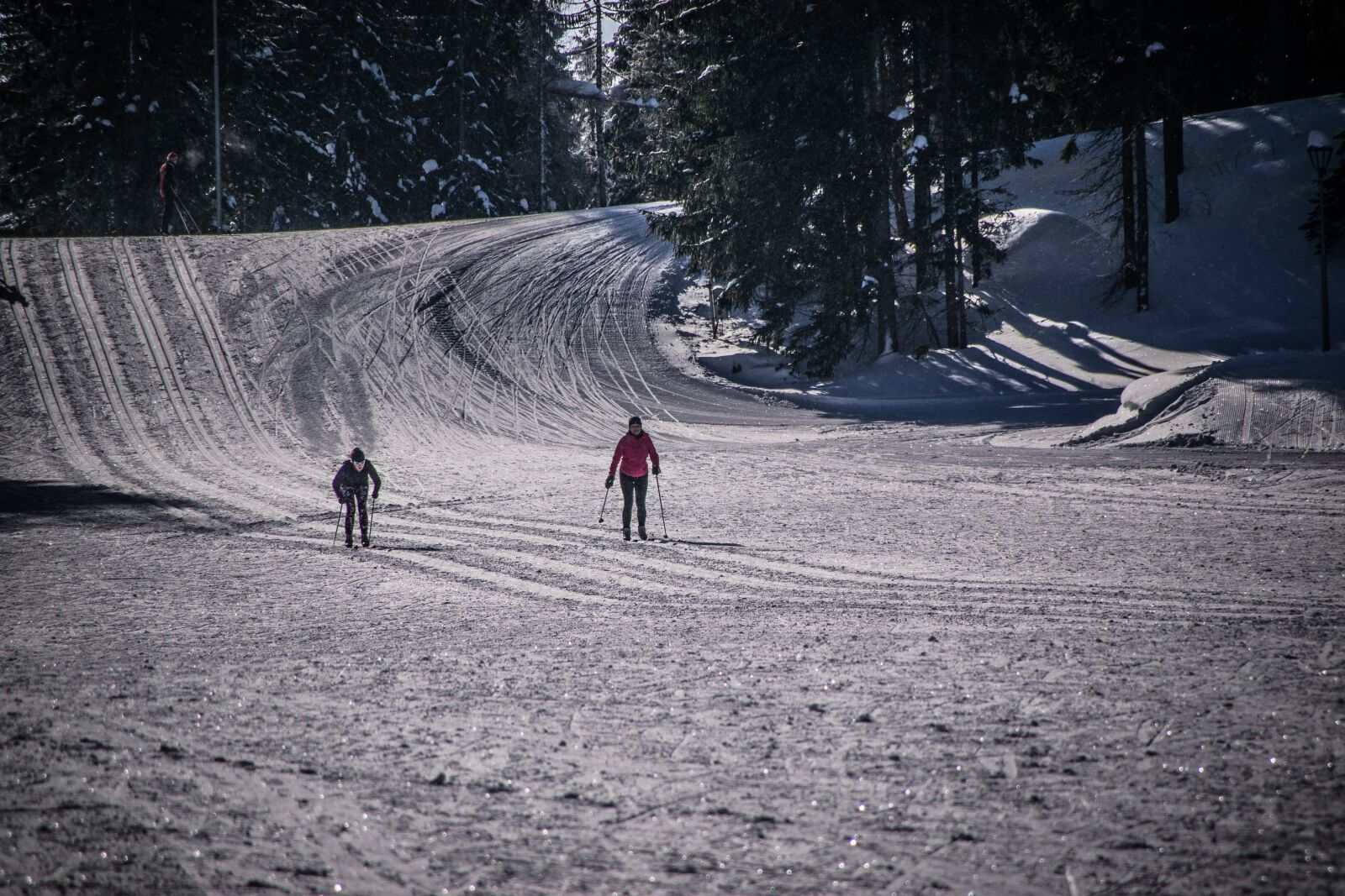 Nikon D5300 sample photo. Track, ski, sport photography