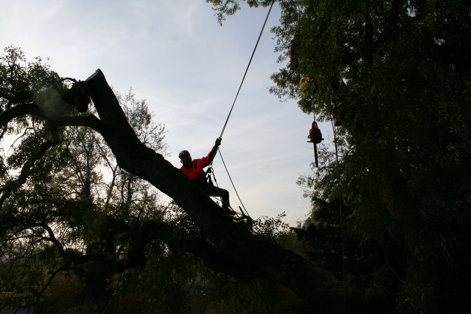 Canon EOS 350D (EOS Digital Rebel XT / EOS Kiss Digital N) sample photo. Tree climbers, arborist, cases photography