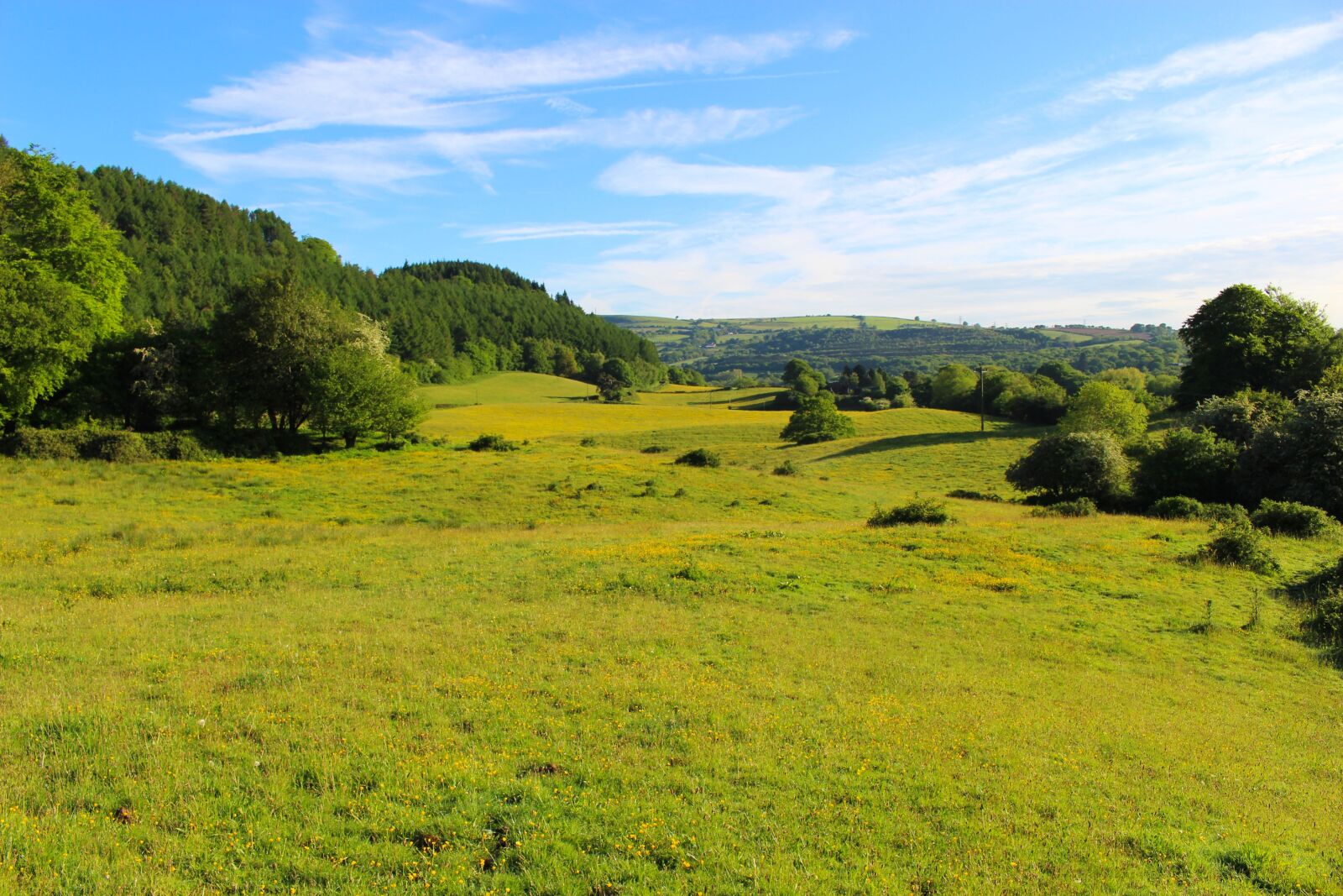 Canon EOS 700D (EOS Rebel T5i / EOS Kiss X7i) sample photo. Field, nature, countryside photography