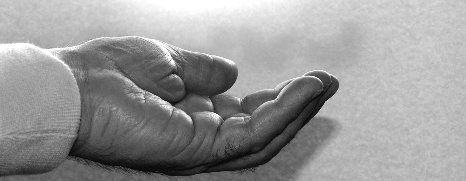 Leica V-LUX 1 sample photo. Hand, open hand, hands photography