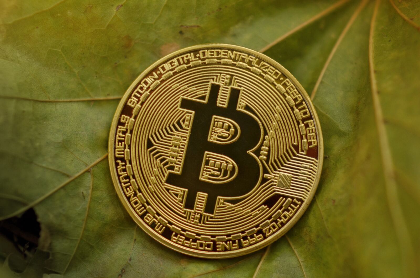 Nikon D7000 sample photo. Bitcoin, cryptocurrency, coins photography
