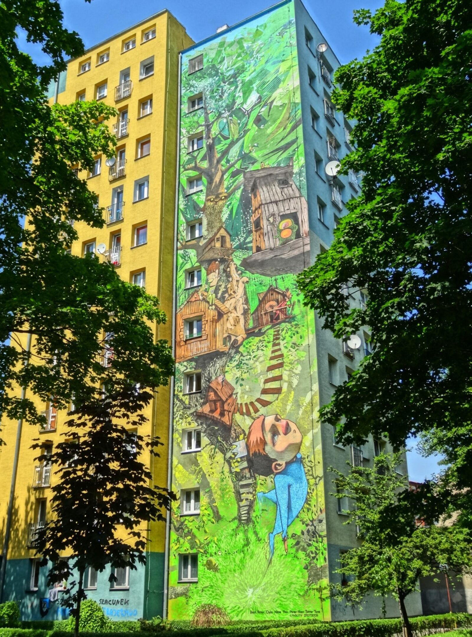 Sony Cyber-shot DSC-HX20V sample photo. Mural, moczynskiego street, bydgoszcz photography
