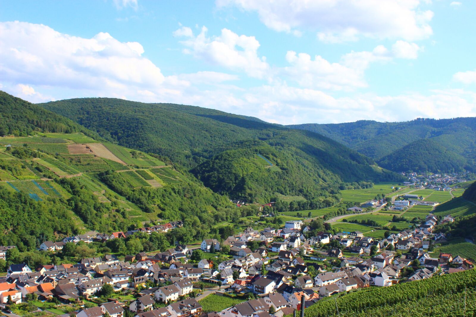 Canon EOS 600D (Rebel EOS T3i / EOS Kiss X5) sample photo. Dernau, ahr valley, vineyards photography
