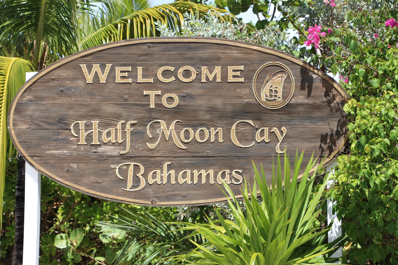 Canon EOS 700D (EOS Rebel T5i / EOS Kiss X7i) sample photo. Bahamas, half moon cay photography