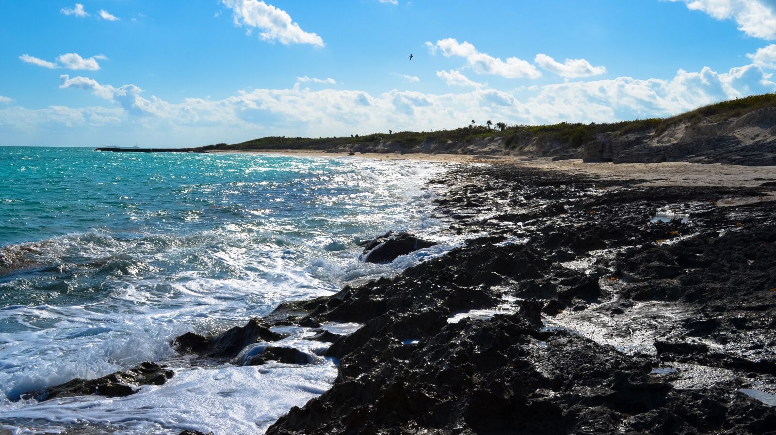 Nikon D5100 sample photo. Beach, cuba, rock photography