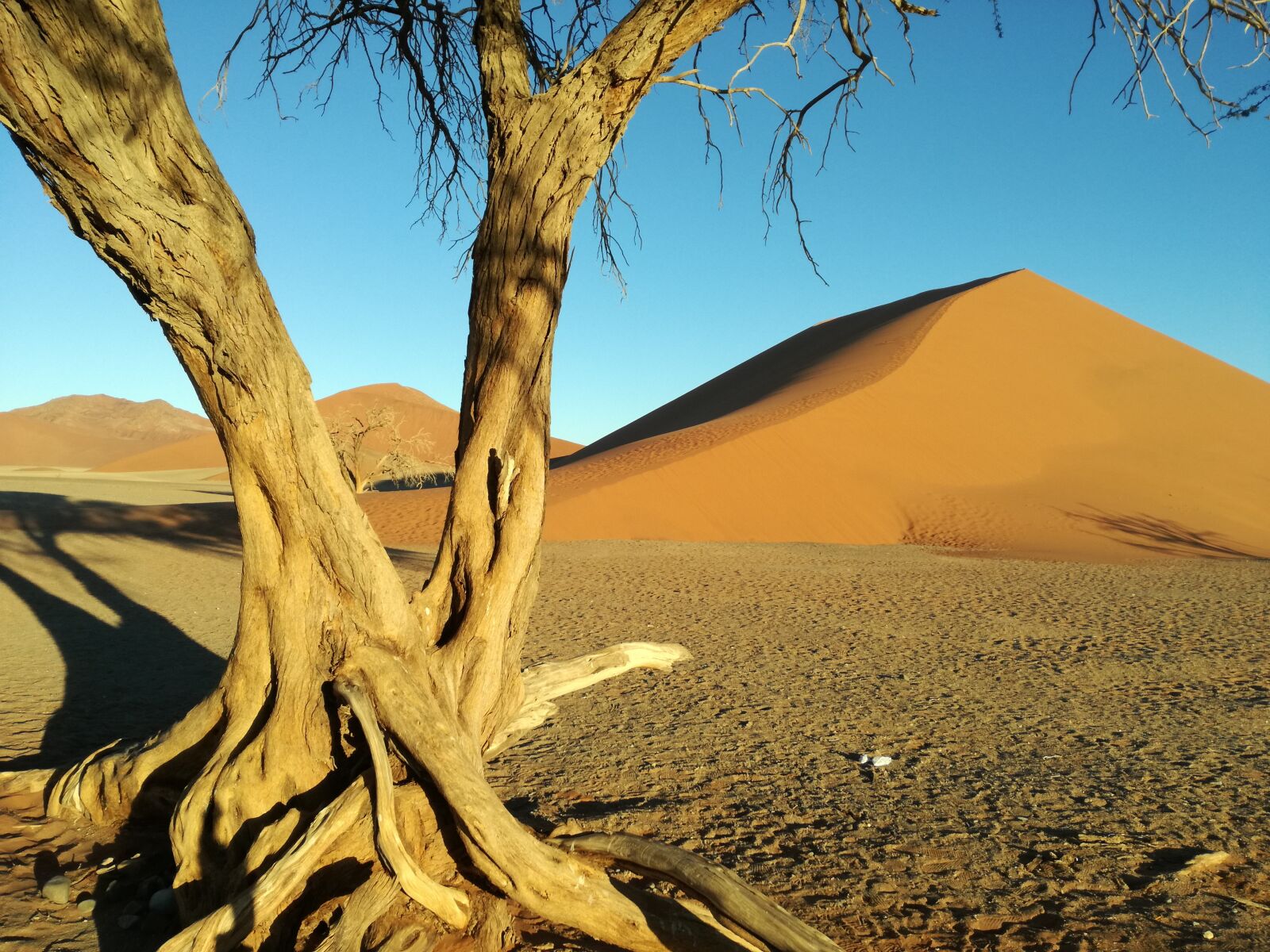 HUAWEI P9 LITE sample photo. Desert, namibia, africa photography