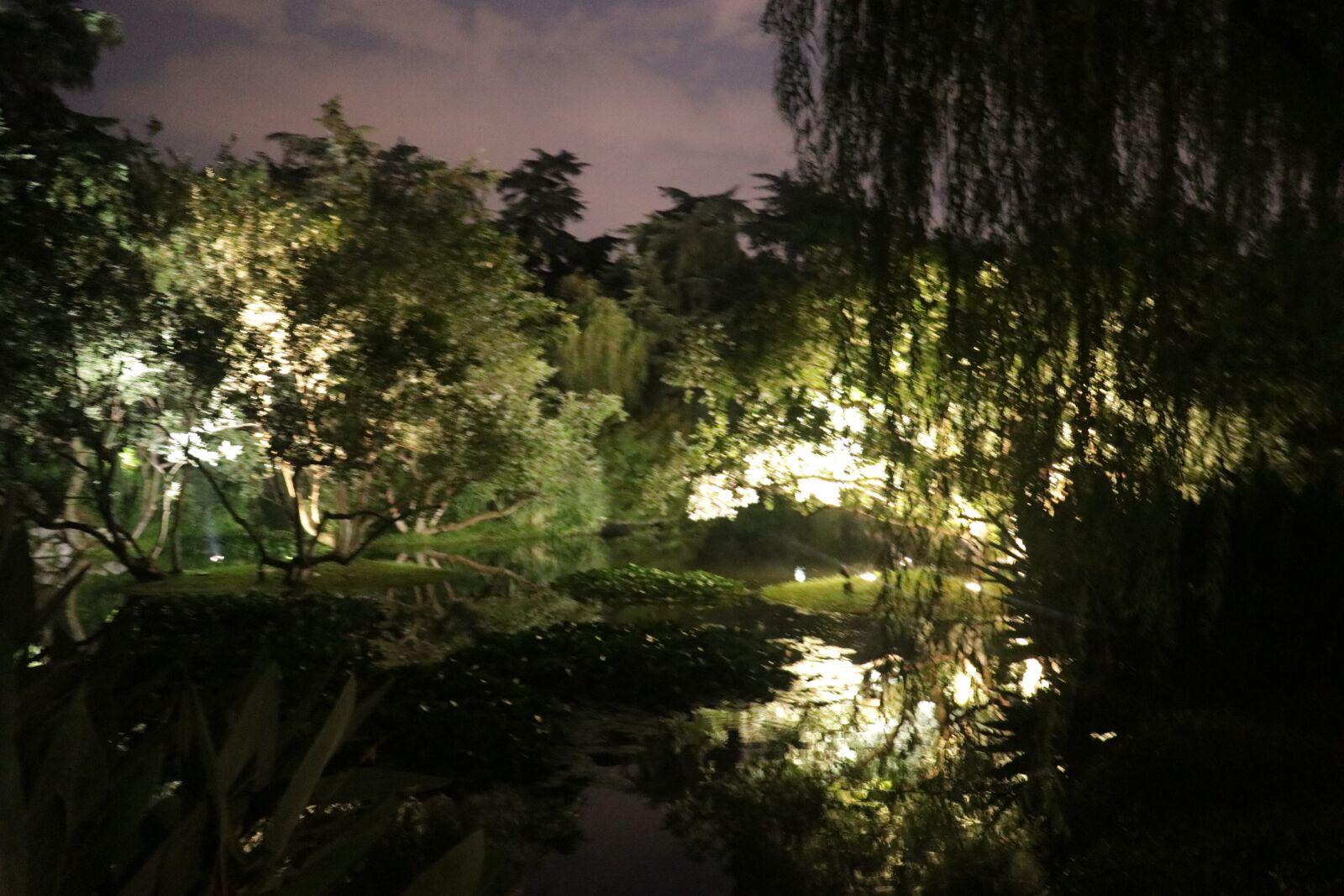 Canon EF-S 18-135mm F3.5-5.6 IS USM sample photo. China, night, tree photography