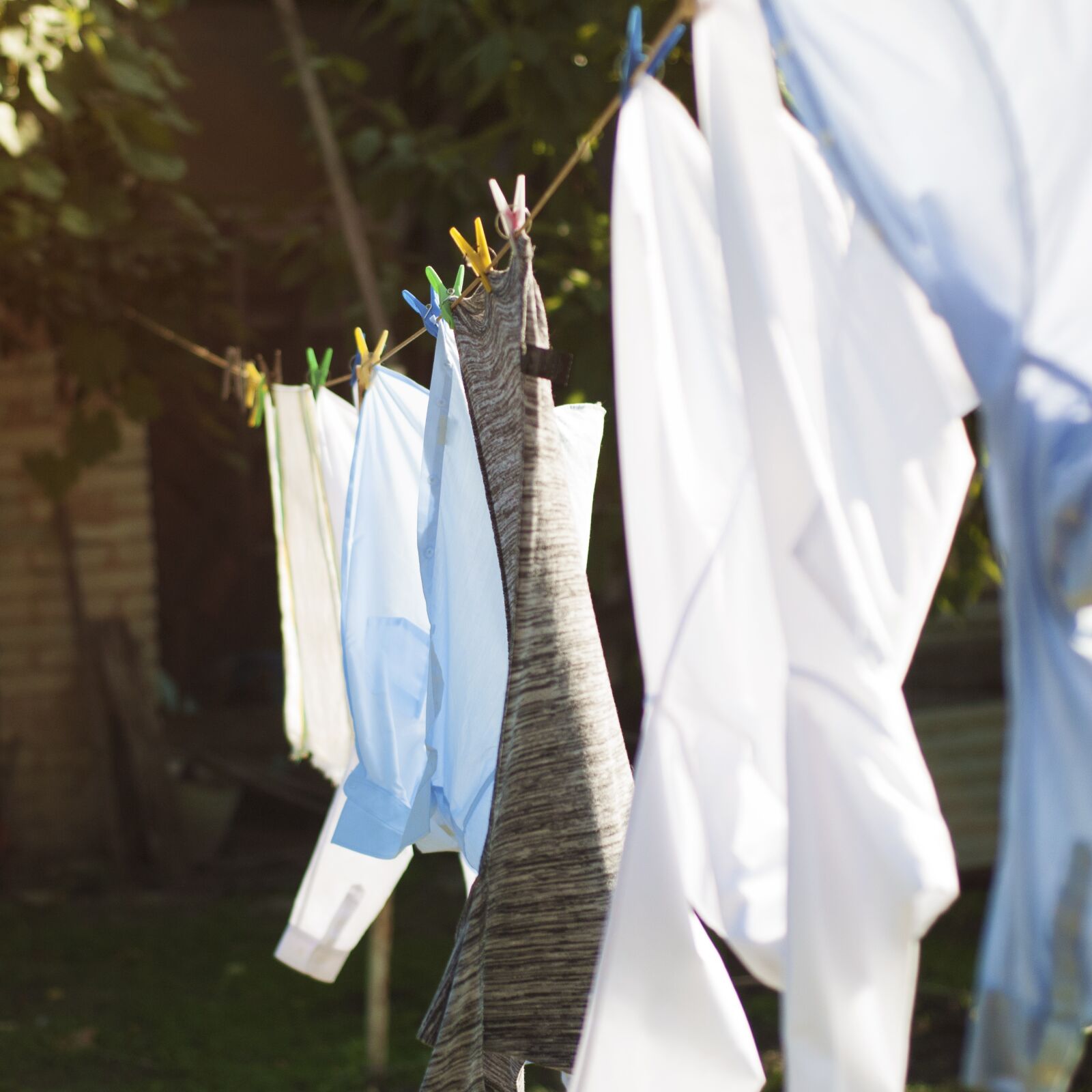 Nikon D3000 sample photo. Shirts, summer, nature photography