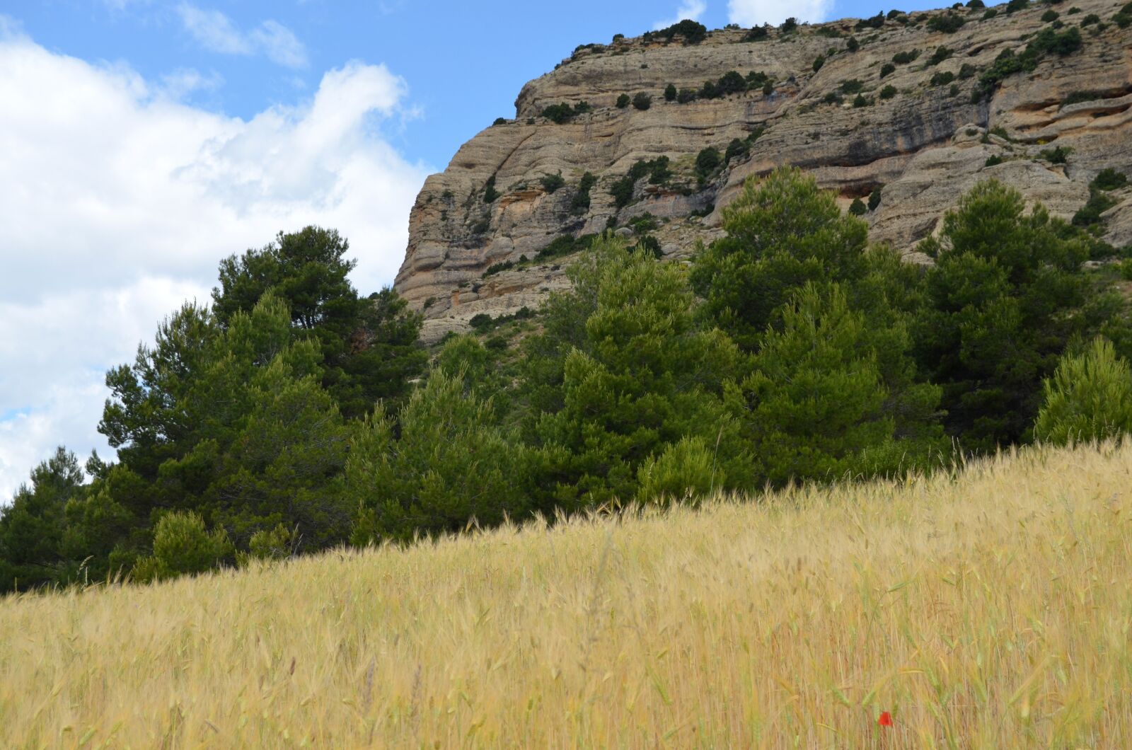 Nikon D5100 sample photo. Caves, zaén, murcia photography