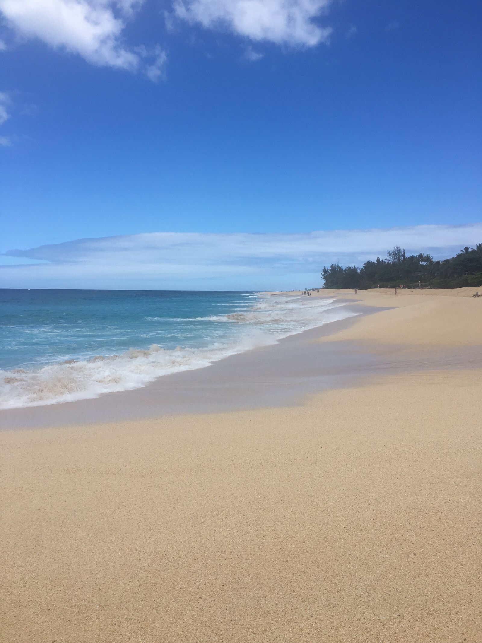 iPhone 6s Plus back camera 4.15mm f/2.2 sample photo. Beach, hawaii, sand photography