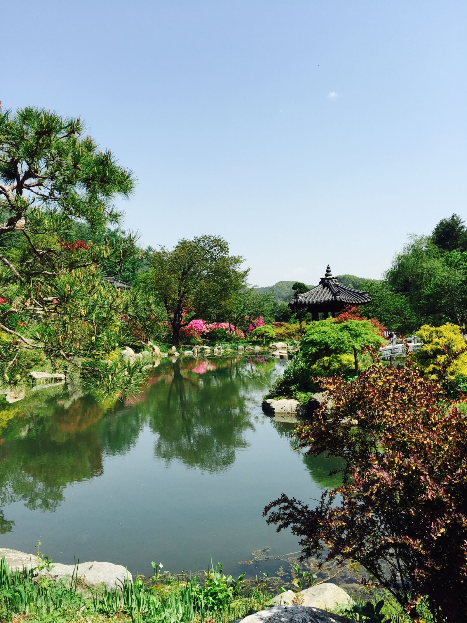 iPhone 6 Plus back camera 4.15mm f/2.2 sample photo. Pond, belvedere, lake photography