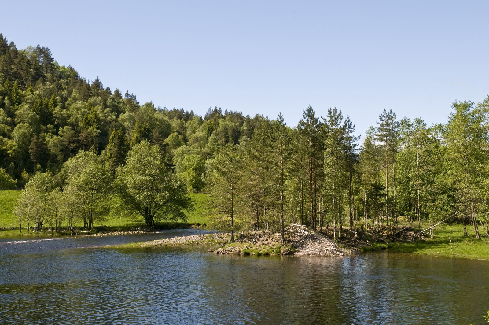 Nikon D300 sample photo. Beaver, hut, norway photography