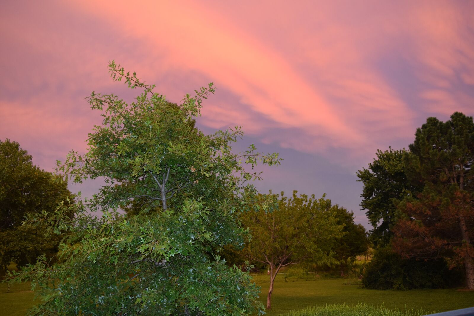 Nikon D3300 sample photo. Evening, sunset, twilight photography