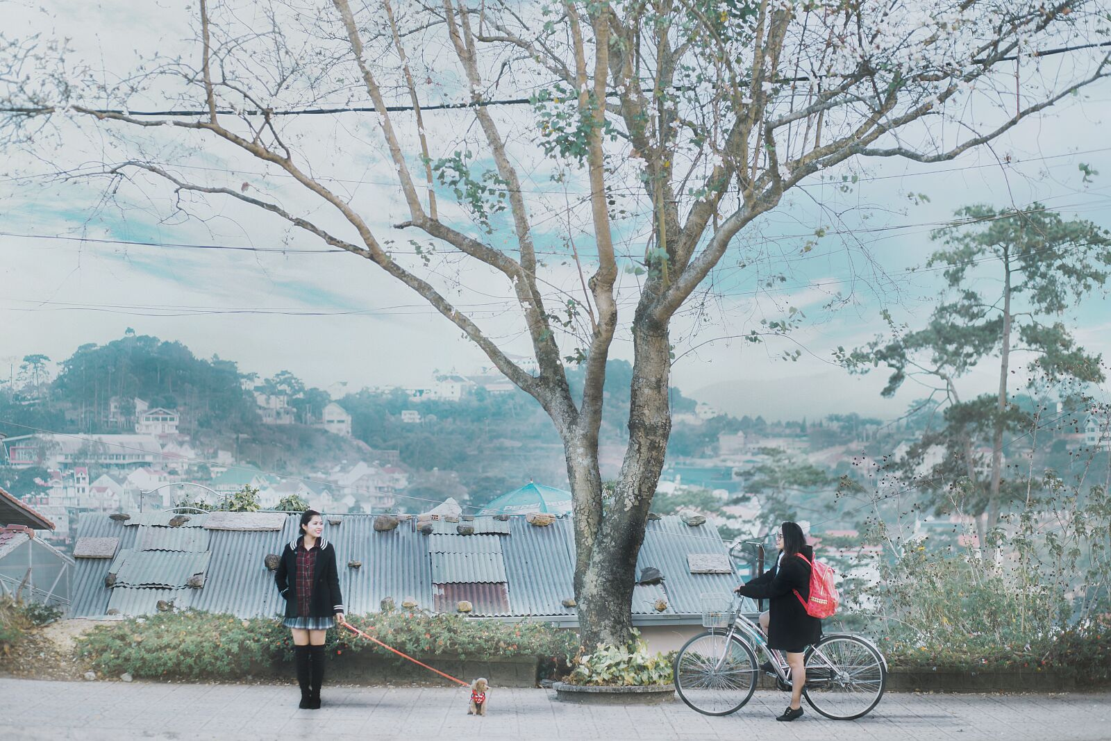 Canon EF 85mm F1.8 USM sample photo. Da lat city, united photography