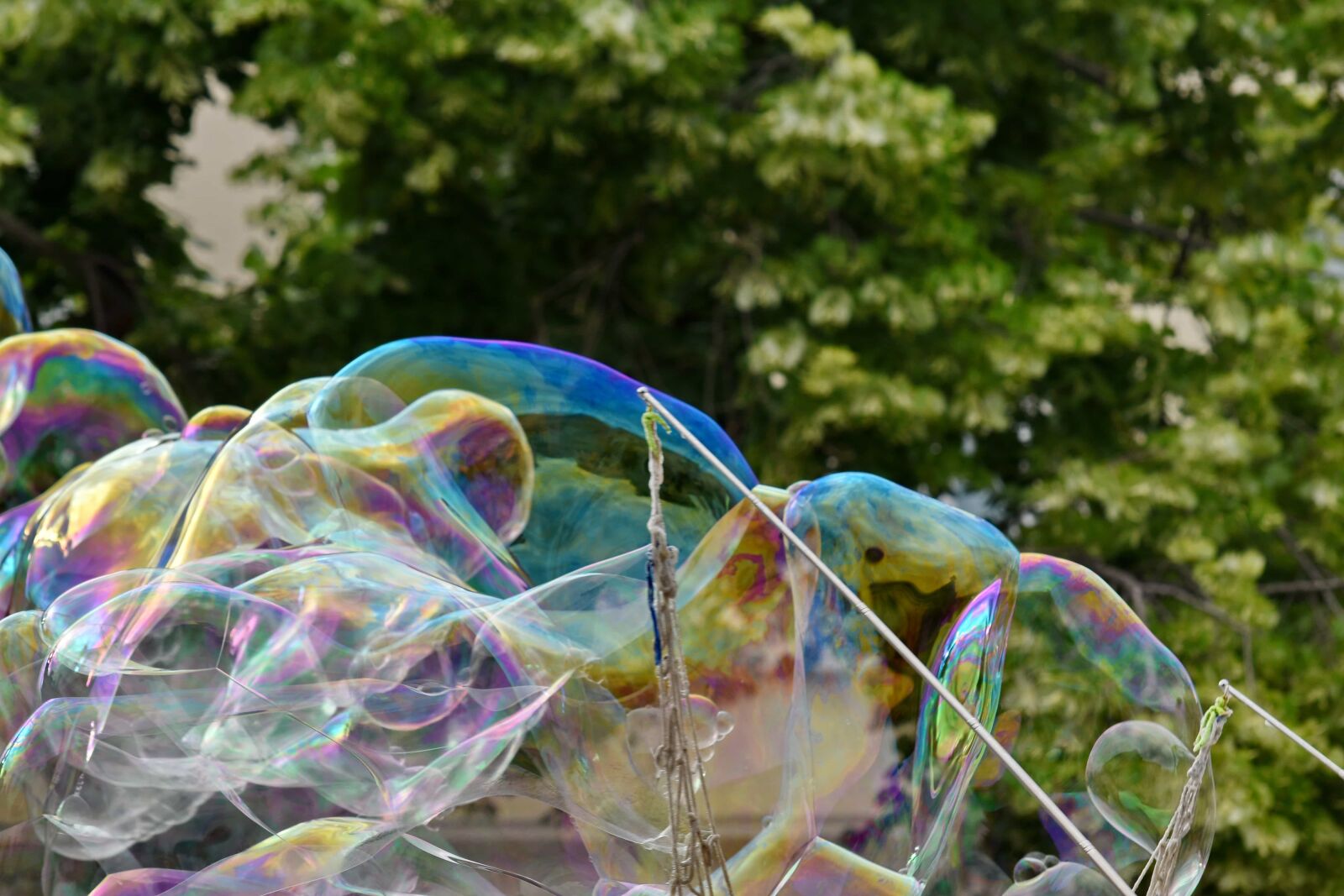 Nikon D5500 sample photo. Bubble, soap, transparent, color photography