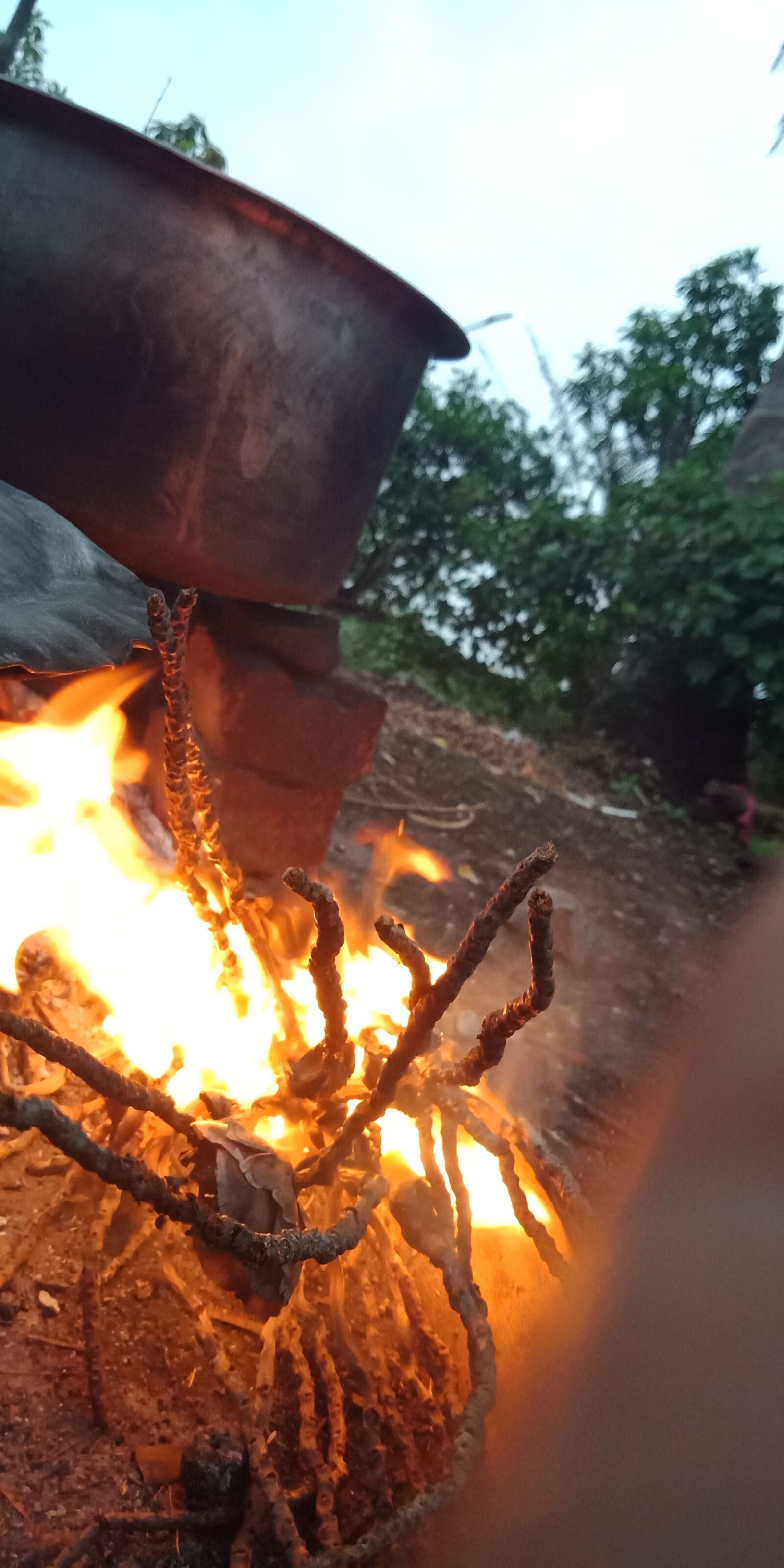 OPPO A83 sample photo. Fire, nature, mood photography