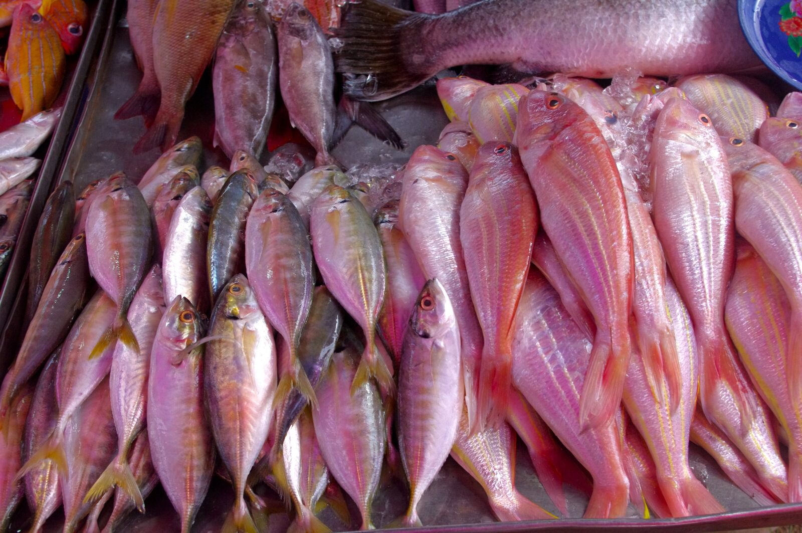 Pentax K-r sample photo. Thailand-market, fish, seafood photography