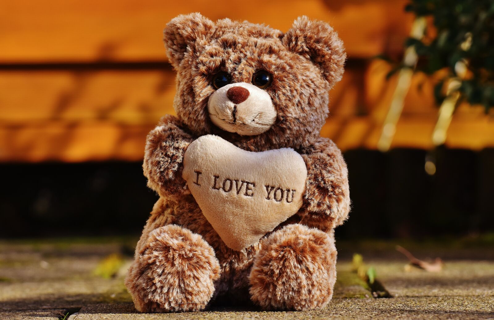 Nikon D7200 sample photo. Love, teddy, bears photography